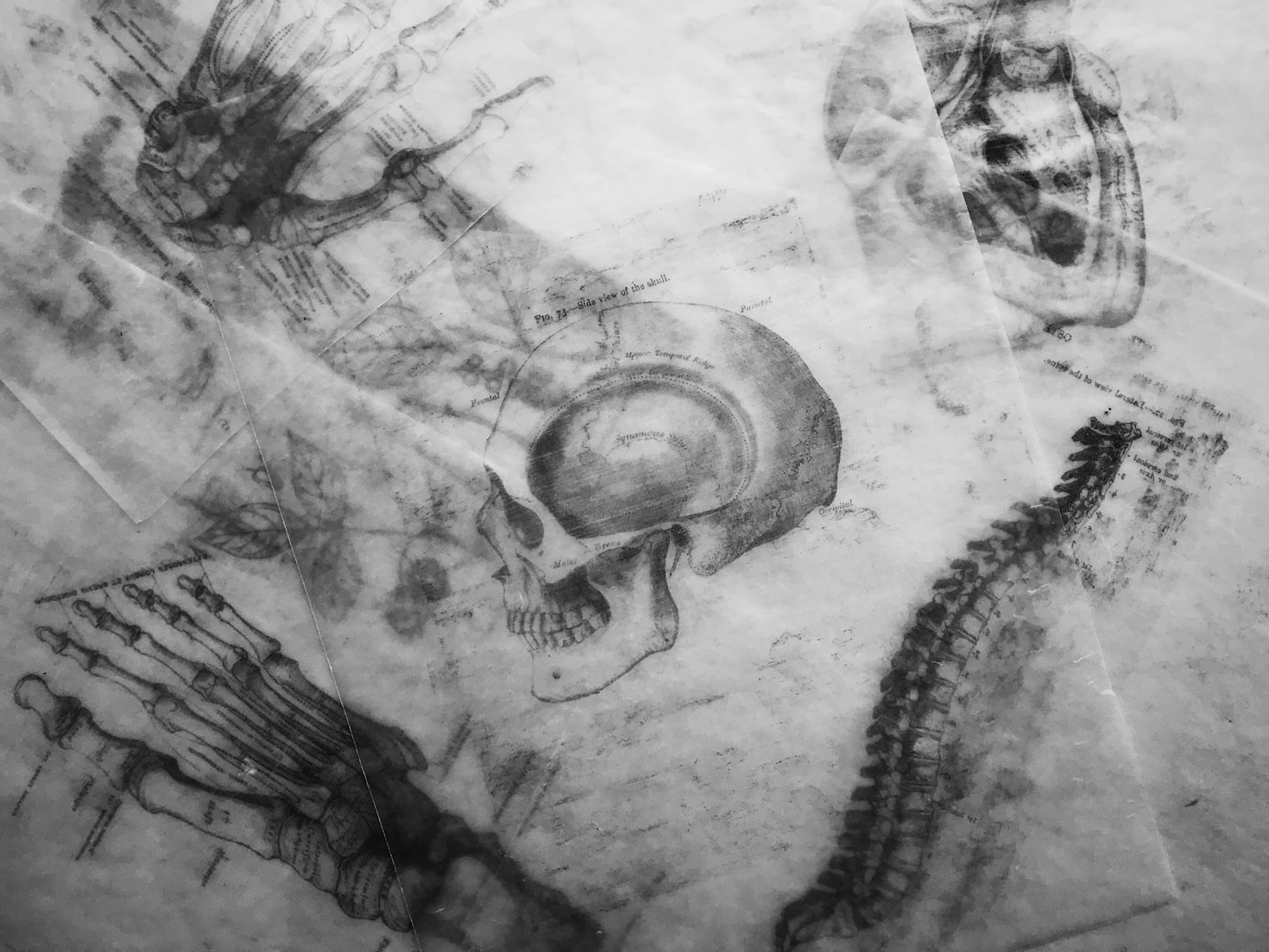 Expert Tips for Conducting Your Own Paranormal Hunt